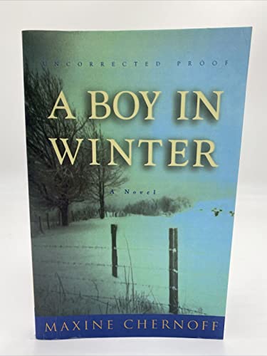 cover image A Boy in Winter