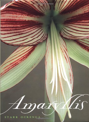 cover image Amaryllis