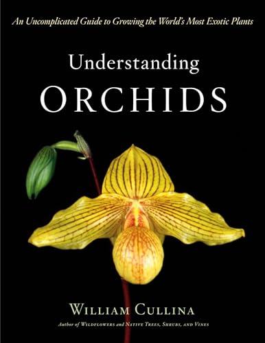 cover image UNDERSTANDING ORCHIDS: An Uncomplicated Guide to Growing the World's Most Exotic Plants