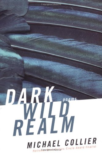 cover image Dark Wild Realm