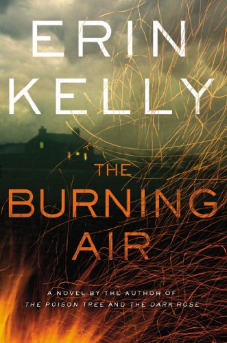 cover image The Burning Air