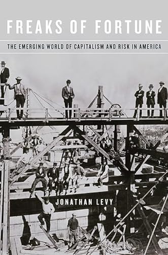 cover image Freaks of Fortune: The Emerging World of Capitalism and Risk in America