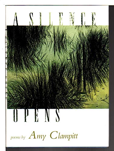 cover image A Silence Opens