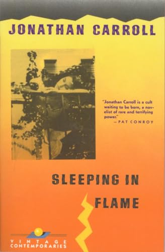 cover image Sleeping in Flame