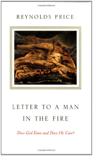 cover image Letter to a Man in the Fire: Does God Exist and Does He Care?