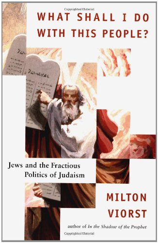 cover image What Shall I Do With This People?: Jews and the Fractious Politics of Judaism