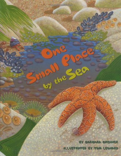 cover image One Small Place by the Sea