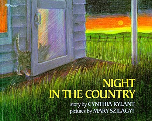 cover image Night in the Country
