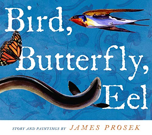 cover image Bird, Butterfly, Eel