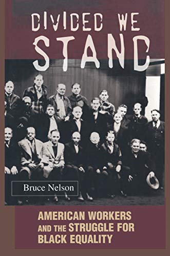 cover image Divided We Stand: American Workers and the Struggle for Black Equality