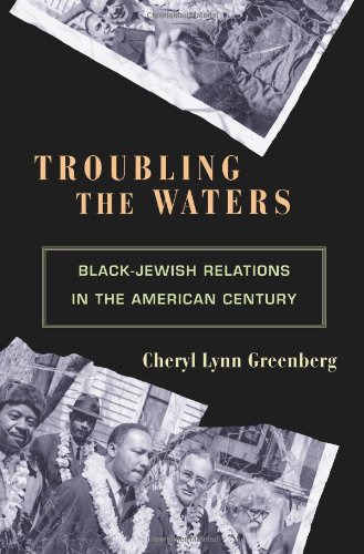 cover image Troubling the Waters: Black-Jewish Relationships in the American Century