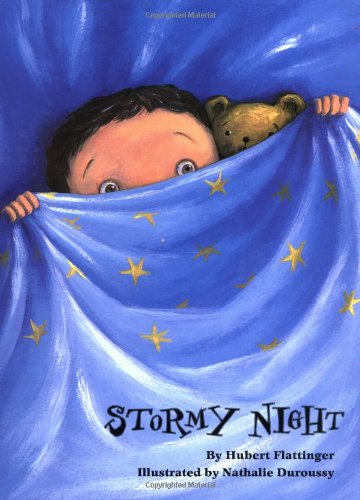 cover image STORMY NIGHT
