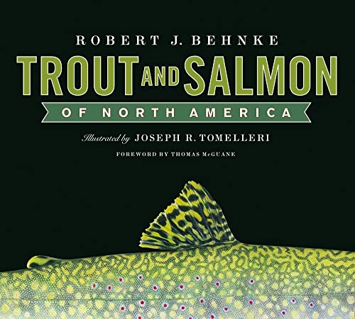 cover image TROUT AND SALMON OF NORTH AMERICA