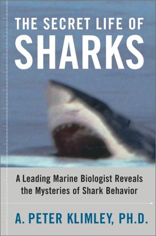 cover image THE SECRET LIFE OF SHARKS: A Leading Marine Biologist Reveals the Mysteries of Shark Behavior