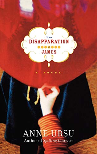 cover image THE DISAPPARATION OF JAMES