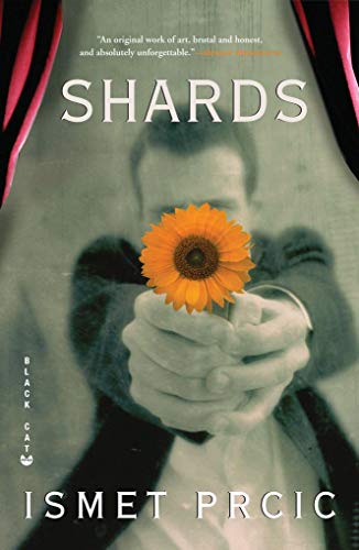 cover image Shards