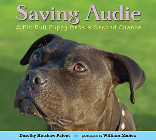 cover image Saving Audie: A Pit Bull Puppy Gets a Second Chance
