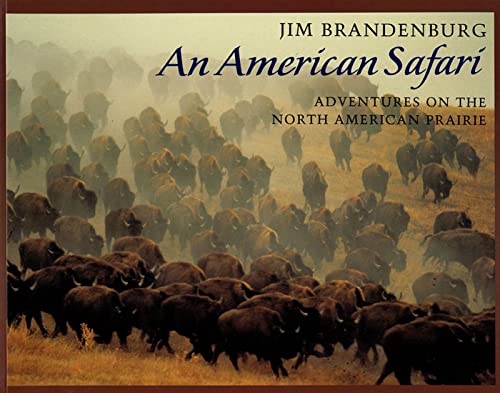cover image American Safari