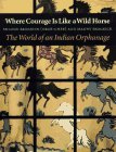 cover image When Courage is Like a Wild Horse: The World of an Indian Orphanage