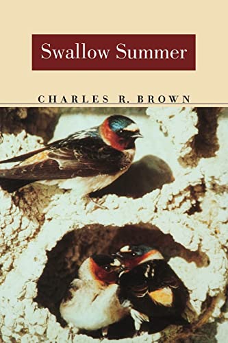 cover image Swallow Summer