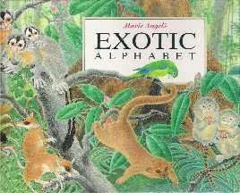 cover image Exotic Alphabet
