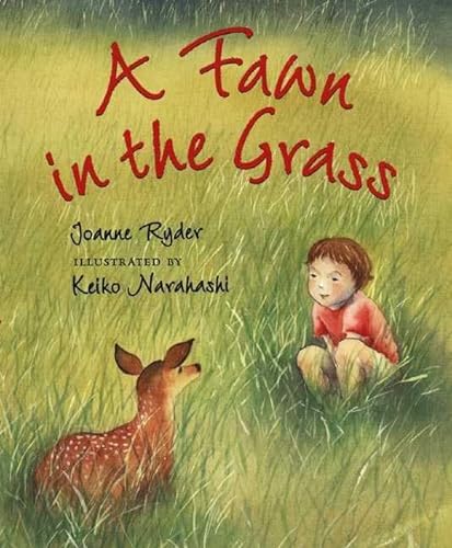 cover image Fawn in the Grass