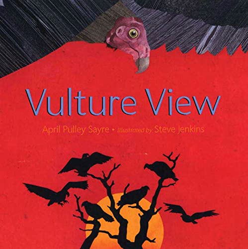 cover image Vulture View