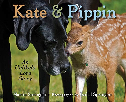 cover image Kate & Pippin: An Unlikely Love Story 