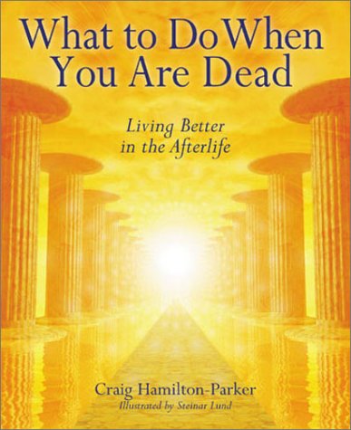 cover image WHAT TO DO WHEN YOU ARE DEAD: Living Better in the Afterlife