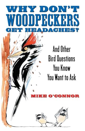 cover image Why Don't Woodpeckers Get Headaches? And Other Bird Questions You Know You Want to Ask