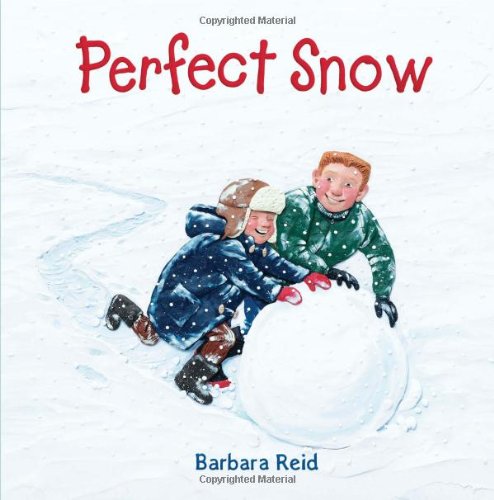 cover image Perfect Snow
