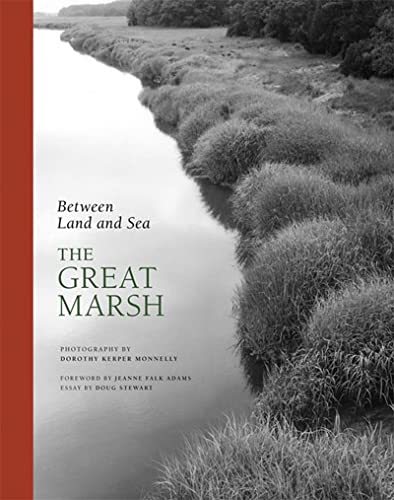 cover image Between Land and Sea: The Great Marsh