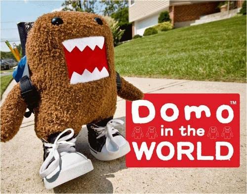 cover image Domo in the World