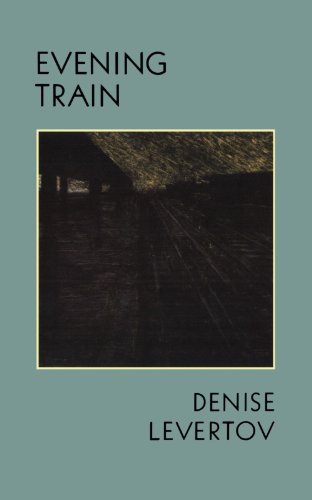 cover image Evening Train