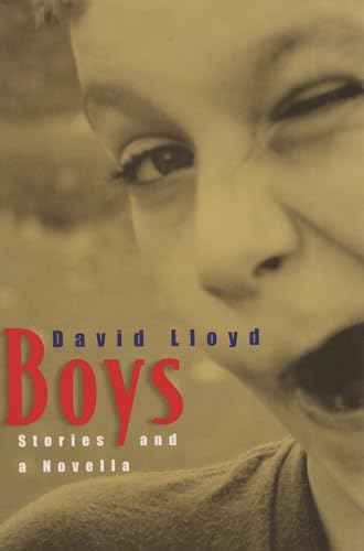 cover image BOYS: Stories and a Novella