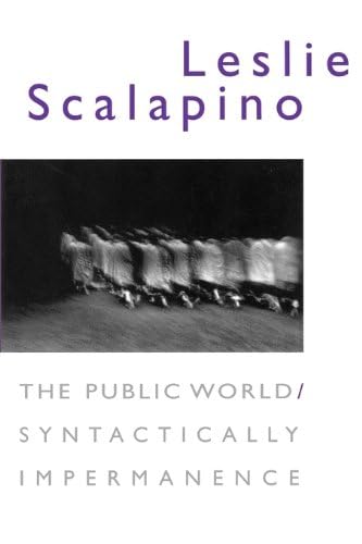 cover image The Public World/Syntactically Impermanence