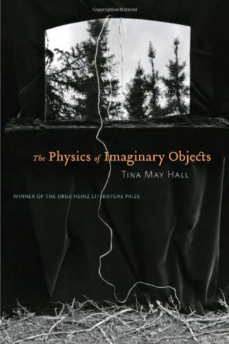 cover image The Physics of Imaginary Objects: Stories