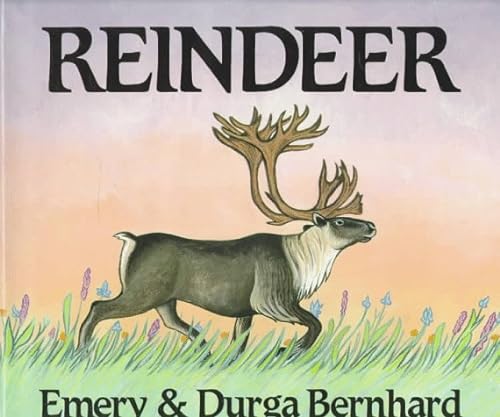cover image Reindeer