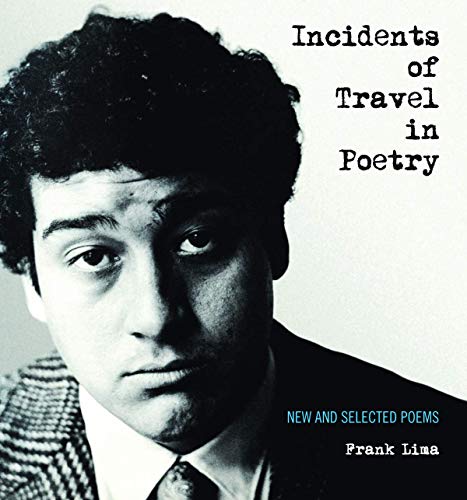 cover image Incidents of Travel in Poetry: New and Selected Poems