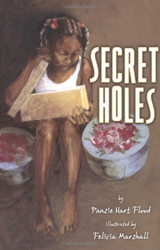 cover image Secret Holes