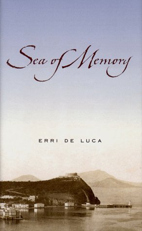 cover image Sea of Memory