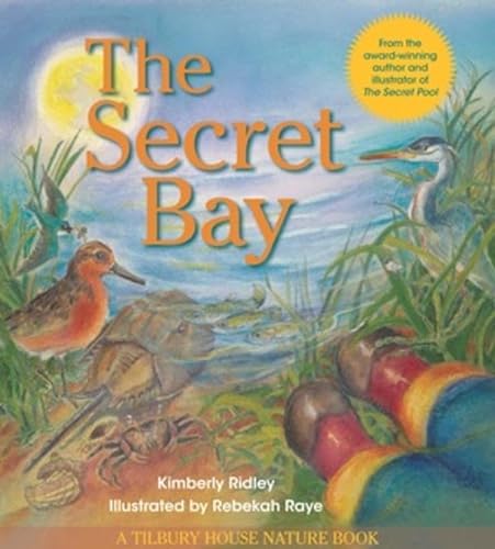 cover image The Secret Bay