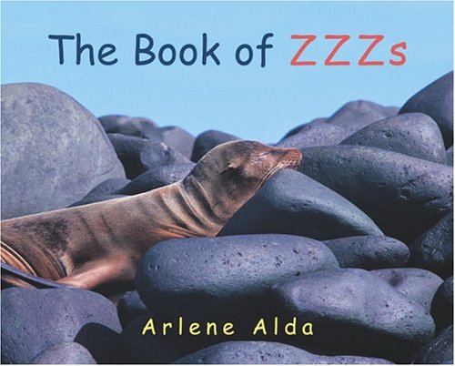 cover image THE BOOK OF ZZZs