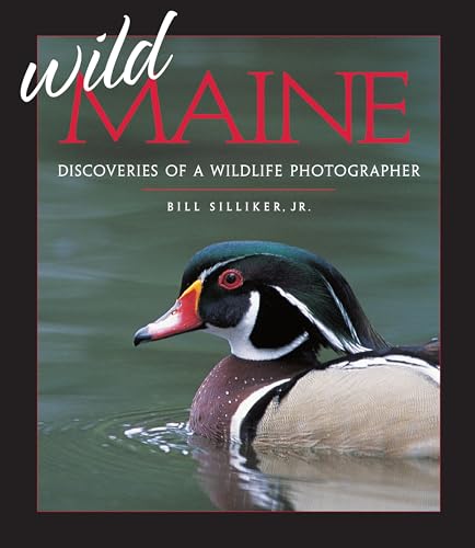 cover image Wild Maine: Discoveries of a Wildlife Photographer