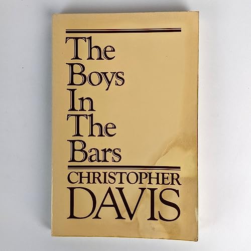 cover image The Boys in the Bars