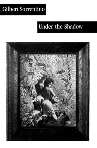 cover image Under the Shadow