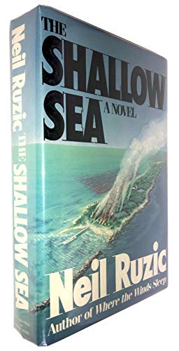 cover image The Shallow Sea