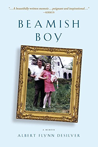 cover image Beamish Boy
