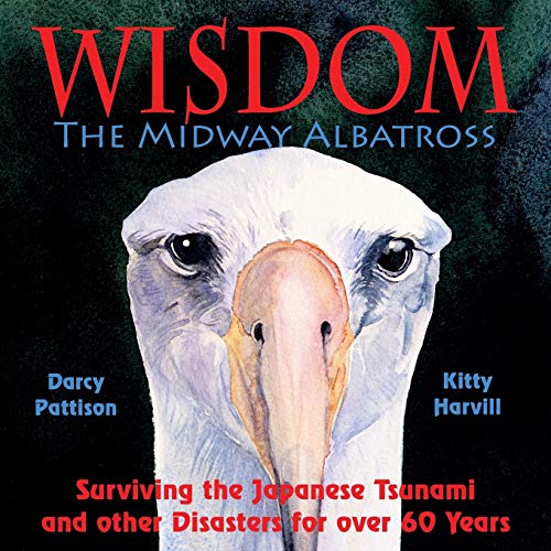 cover image Wisdom, the Midway Albatross: Surviving the Japanese Tsunami and Other Disasters for Over 60 Years