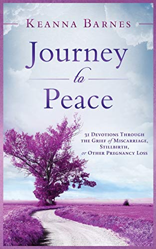 cover image Journey to Peace: 31 Devotions Through the Grief of Miscarriage, Stillbirth, or Other Pregnancy Loss